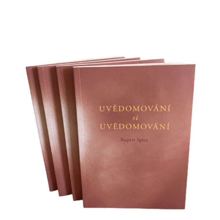 Uvědomování si Uvědomování